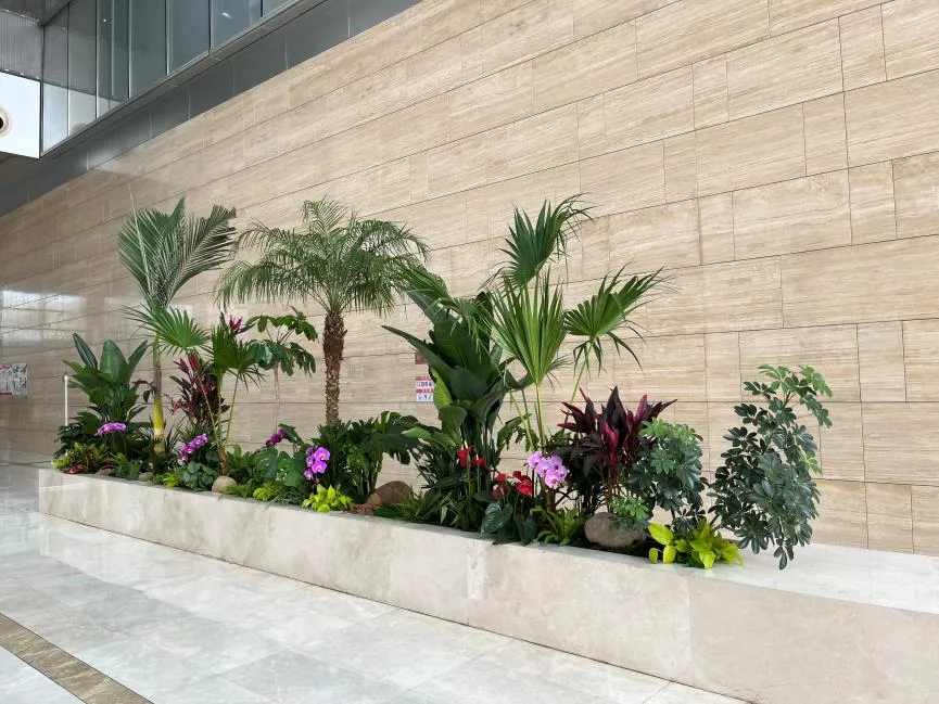 宁波北仑花木租摆